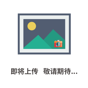 DZW180-DSI閥門(mén)電動(dòng)裝置